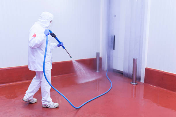 Best Rust and Stain Removal in Waverly, IL