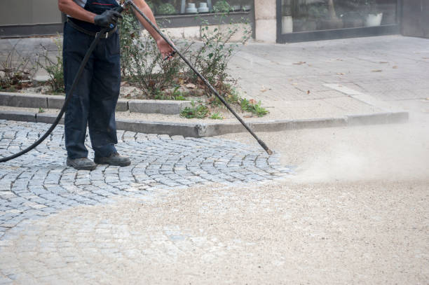 Best Soft Washing for Delicate Surfaces in Waverly, IL