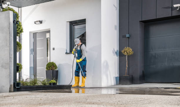 Best Pool Deck Cleaning in Waverly, IL